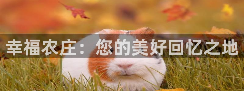 琳琅娱乐平台