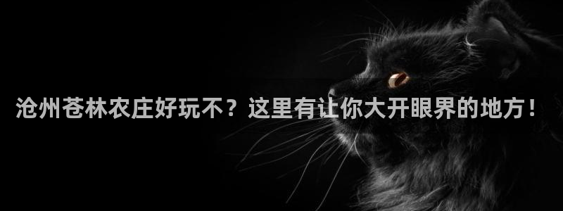 琳琅娱乐平台登陆